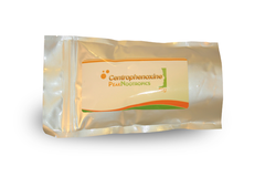 Centrophenoxine